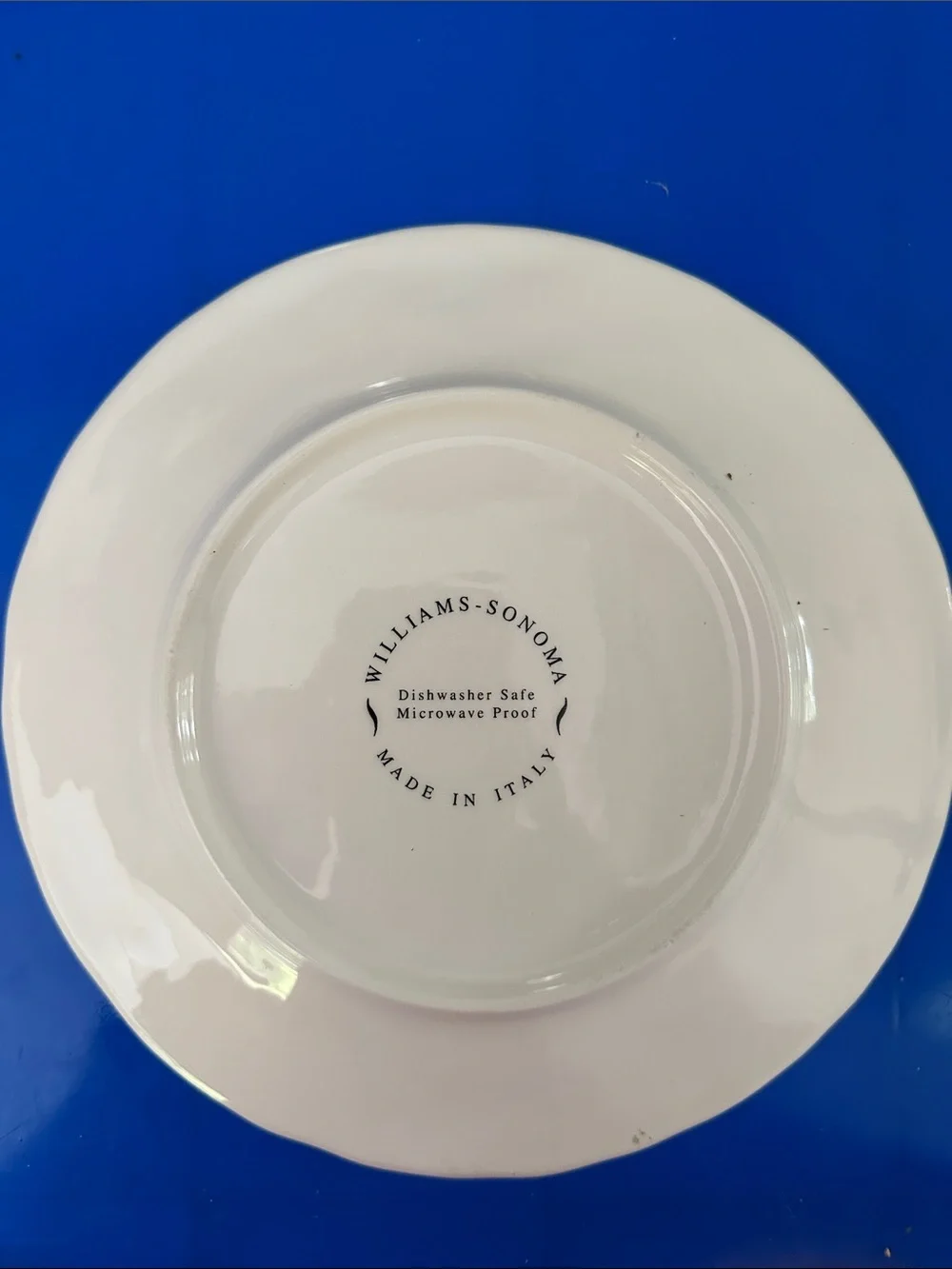 Williams Sonoma ceramic dinner